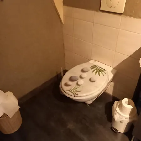 Loue Pour Les 24 Voiture بيت ضيافة لو مان