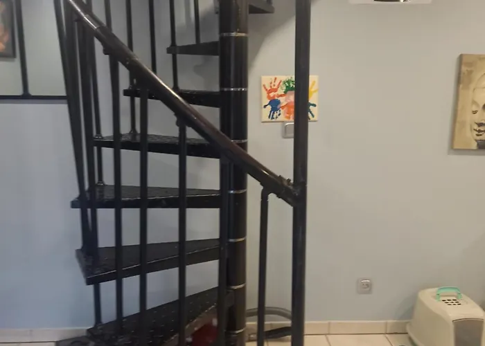 Loue Pour Les 24 Voiture